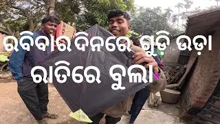 Sunday ଦିନରେ ଗୁଡ଼ି 🪁🪁🪁ଉଡ଼ା  ରାତିରେ Chandipur Golden beach Festival ରେ ବୁଲା  #chandipur #kite #kites