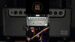 Bad Cat Hot Cat 50 Mod Shop | Anderson Icon T| CH1 Hi