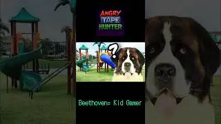 Semelhan&ccedil;as entre o Kid Gamer e o Beethoven #beethoven #supernintendo #angrytapehunter #retrogaming