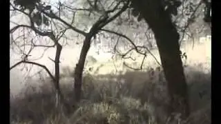 Zimbabwe Challenge Rally 2010