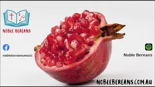 Pomegranate (Song of Songs 6:4-7) - Noble Bereans lyric video