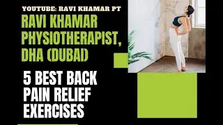 5 best Back pain Relief Exercises / Ravi Khamar PT