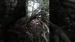 Part four hour long hide and seek (with Billy )
