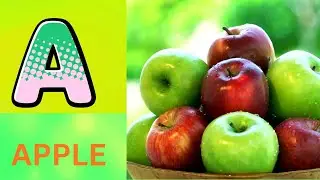 ABC Phonics Song | Alphabet letter sounds | ABC learning for toddlers | Education ABC Nursery Rhymes