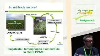 17 01 Tracabilit&eacute; : t&eacute;moignages d'acteurs de la fili&egrave;re PPAM (Phytolia)