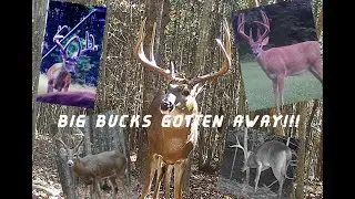 BIG BUCKS that GOT AWAY!!! | Hunter Ridge Outdoors