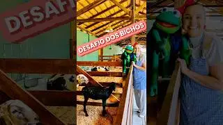 DESAFIO DOS BICHOS! #infantil #animaisdafazenda #educa&ccedil;&atilde;oinfantil #educativo
