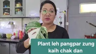 Plant,pangpar zung kaih hun chhung,ka strawberry ka thawnchhuak veleh ta❤️🥰