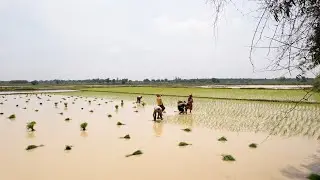 উন্নয়ন ২০২৪ : A FILM ON WATERSHED DEVELOPMENT EFFORTS IN WEST BENGAL