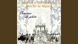 RECUERDOS DE MI HERMANDAD III