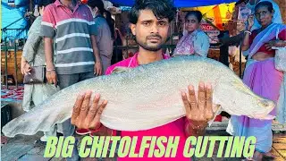 Amazing BIG Giant Clown Knife Fish Cutting By ExpertFish Cutter | Chital Fish Cutting Skills|RRRM