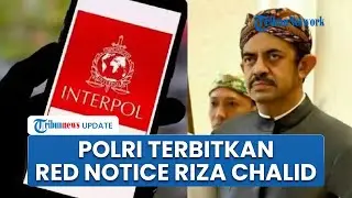 Polri Terbitkan Red Notice Riza Chalid! Resmi Jadi Buronan Internasional, Paspor RI Batasi Gerak