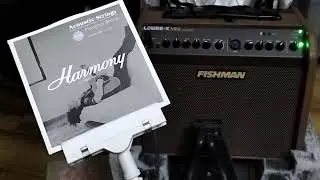 phosphor bronze + fishman amp