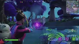 Collect Floating Rings Near Reality Falls Fortnite