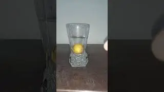 Lemon experiment #shorts #shortsfeed #viral #lemonexperiment #experiment #youtubeshorts #youtube