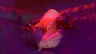 CUT/PIECE - BROKEN EMBRACE