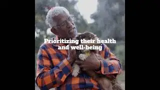 Create a Pet-Friendly Home