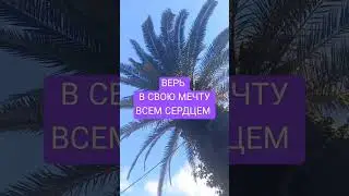 HAPPY ПОЛЬЗА #2024 #shorts #nature #motivation #мечта #мысли #психология #to