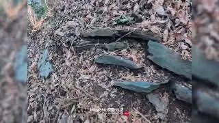 青山城＠埼玉県小川町　2026.1.4　Ver.S