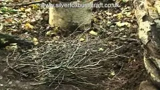 Sizing My Wood