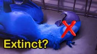 How Deforestation Affects Animals