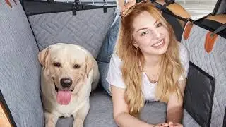YJGF Back Seat Extender Dog Seat Cover