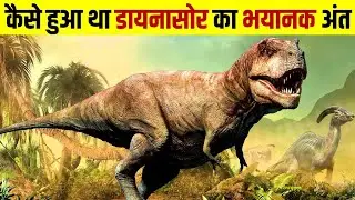 dinosaur ka ant kaise hua।।how did the dinosaurs end। daynasour।।