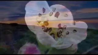 Я так люблю тебя, Musik - Alexander Illg