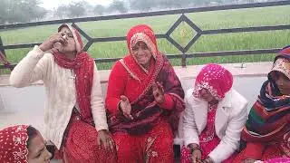 हरजस गीत 🌹मकर संक्रांति पर गाया जाने वाला हरजस गीत Harjus geet 🙏🙏