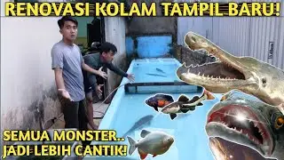 SEMUA IKAN MONSTER KEMBALI KE KOLAM! KEINDAHANNYA BIKIN HATI TENANG