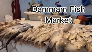 Fish Market | Dammam Main Fish and Sea Food Market | Variety of Sea Food | Fresh Sea Food | Dammam