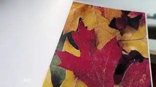 Print Result: Comstar X5 Toner Powder in XEROX V3370 Copier /No Filter
