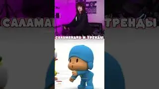 САЛАМАНДРА И ТРЕНДЫ #шгш #шгшстрим #саламандра