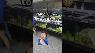 Would You Do This? #savage #sneakerhead #jordans #work #fish #lancaster #shorts #explore
