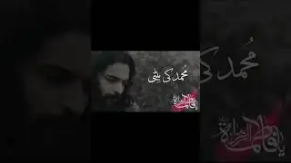 Bibi Fatima Manqabat | Muhammad Ki Beti | Kamran Abbas BA | New Qasida Short Video