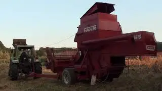 Hobbyist Lambrecht - Zulzeke - Fahr M 66 TS - Fendt Favorit 3