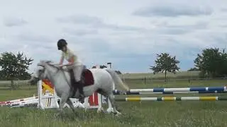 the happy times