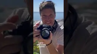Behind the scenes with Formula Properties &bull; El Higueron