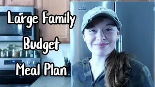 February Large Family Budget Meal Plan | Cassandra Smet