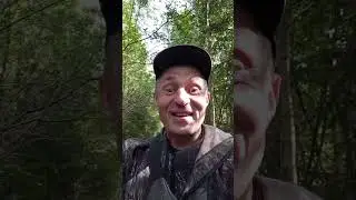 #металлокоп ,накопал немного гвоздей 😎