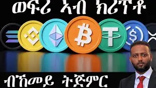 ኣብ ክሪፕቶ ማርኬት ከውፍር ደልየ ፧ ግን ብኸመይ ይጅምር፧ Investing in Crypto Market for Beginners። #crypto