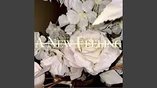 A New Feeling