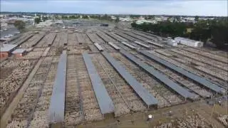 Ballarat Saleyards 13 Dec16