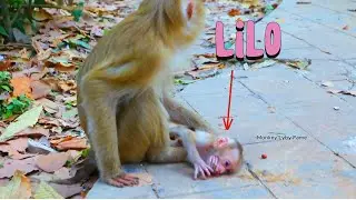 Lilo, the newborn, begins to show signs of pampering, which causes Mommy Lila to cry.