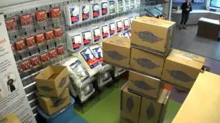 Prank :Human box