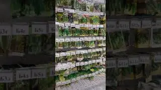 Доставка семян за границу. Отзыв покупателя Усадьба-Семена
