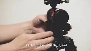 Promediagear Carbon Tripod and 75mm Bowl System and BH1