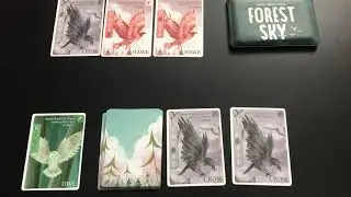 Forest Sky game review. Button Shy Game designed by Scott Allen Czysz.