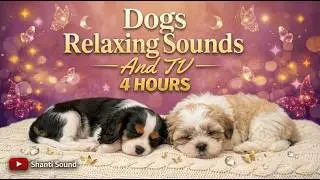 4 Hours of Dog TV & Calming Music | Deep Sleep & Relaxation for Dogs & puppies with Anxiety 🐾🎶 🐕