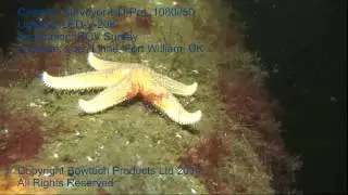 Surveyor HD Pro